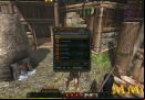 Age-of-Conan-dimas-shop.jpg