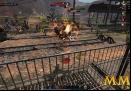 Black-Gold-Online-ability