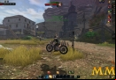 Black-Gold-Online-motorcycle