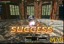 Divine-Souls-Success