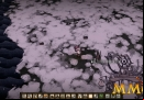 dont-starve-rigged-portal