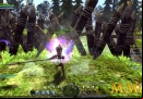 Dragon-Nest-fence.jpg