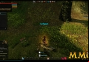 Dragons-Prophet-Loot-Fireworks.jpg