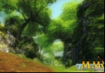 earthrise-forest