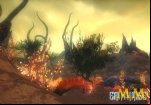 earthrise-strange-plants