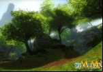 earthrise-tree