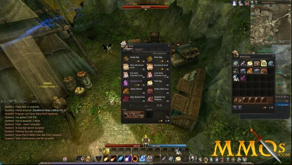 Echo-of-Soul-NPC-Shop.jpg