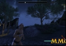 Elder-Scrolls-Online-stamina