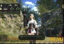 FFXIV-Basic-Controls.jpg