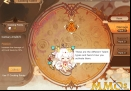 food-fantasy-talents