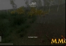 H1Z1-Branch.jpg