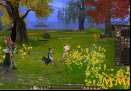Hero-Online-woods