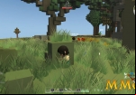 islet-online-hiding