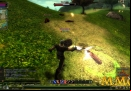 Knight-Online-Combat