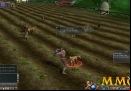 Last-Chaos-farming