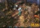 lineage-eternal-forest.jpg