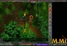 link-realms-torch