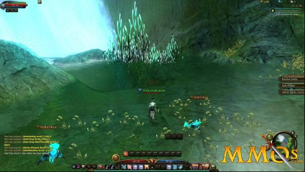 Maestia-Swimming-crabs.jpg