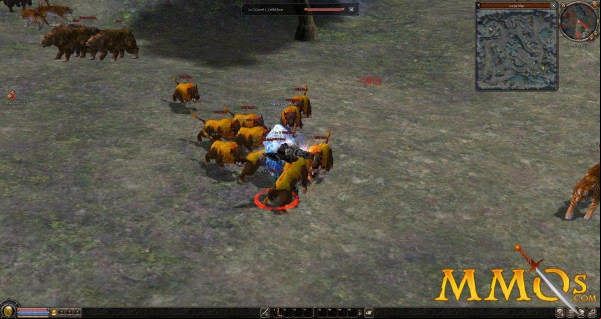 Metin-2-hog-assault