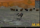 Metin-2-2004-release