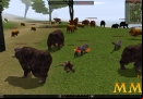 Metin-2-too-many-animals