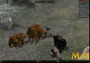 Metin-2-active-combat