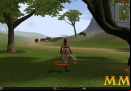 Metin-2-bears