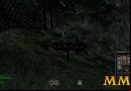 Mortal-Online-graveyard