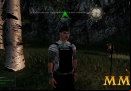 Mortal-Online-lugus-llew