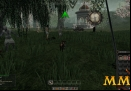 Mortal-Online-pig