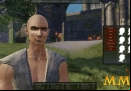 Mortal-Online-presets