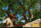New-World-hat