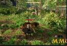 New-World-boar
