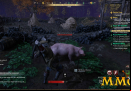 New-World-pig