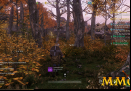 New-World-woods