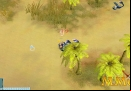 pirate-king-online-age