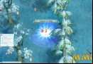 pirate-king-online-youtube