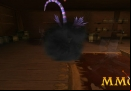 Pirate101-invisible