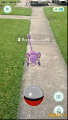 pokemon-go-sidewalk