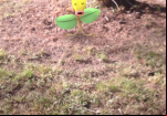 pokemon-go-bellsprout