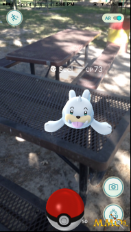 pokemon-go-outside
