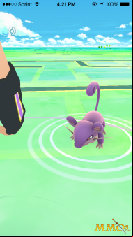 pokemon-go-ratat