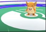 pokemon-go-gym-fight