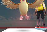 pokemon-go-pidgeot