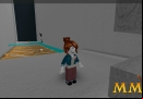 Roblox-Puzzle