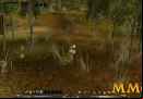 Shaiya-Free-MMORPG