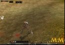 Shaiya-94-Dmg