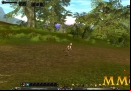 Shaiya-Forest-f
