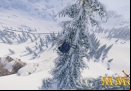 SNOW-skiing
