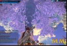 tera-big-tree